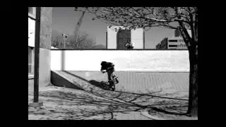 Subrosa Pro Simone Barraco BMX Street HUGE Full Cab