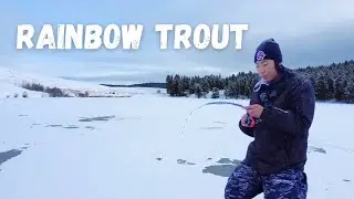 Solo ICE FISHING for RAINBOW TROUT! (Underwater Footage)