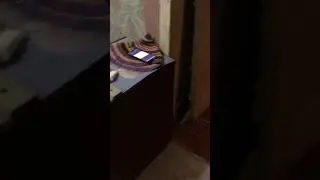 Котейки не помогают