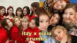 NiziU Dancing & Singing to ITZY Song, ITZY Reacting to NiziU!