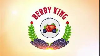 Logo Animation After Effects | 3d logo inside after effects | Berry King | 3d Logo animation