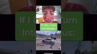 If I Die, I Turn Into Bingus (Ring Doorbell TikTok)