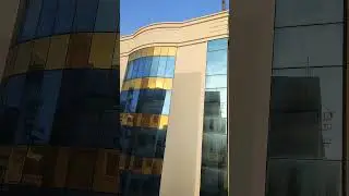 the city 