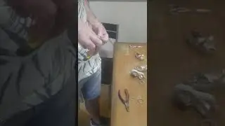 Montandolos de muestras (2)