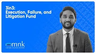 3in3: Execution, Failure, and Litigation Fund | MNK Law