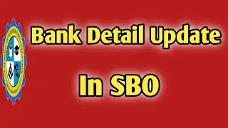How update bank detail in SBO