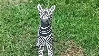 Zebra de Cimento