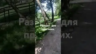 Женщины которые вводят в грех.