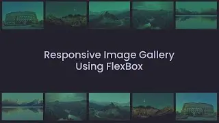 Responsive Image Gallery Using Flexbox | HTML & CSS