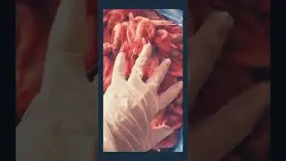 Дары моря, наисвежайшие креветки 🍤 прямиком с моря #shorts #shortvideo #seafood #eating #craft #🦐