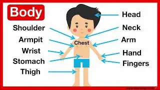 Parts of the body 🤔 | Easy Learning Video | Learn with pictures