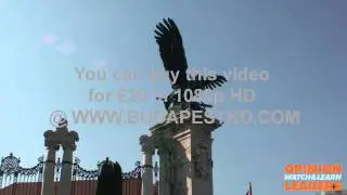 Turul of the Royal Palace of Buda 2 new