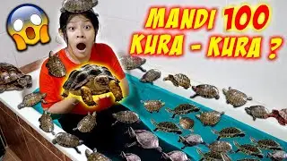 Bathing with 100 Turtles? Swimming in the Toilet, Chased by These Animals! Funny Drama | CnX Adve...