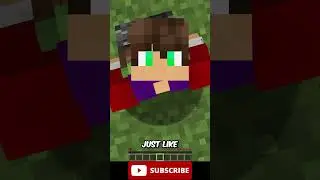 Minecraft, But I Have Half a Heart