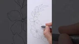 Learn to draw Floral Compositions