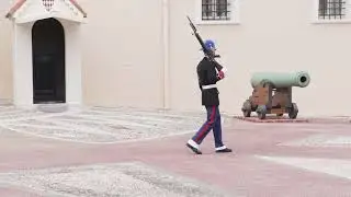 Monaco guard