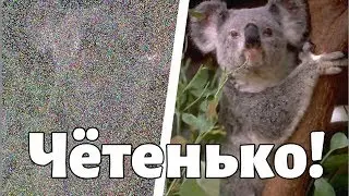 Новинки Apple. Microsoft Surface Go. Яндекс Телефон. Новости #12