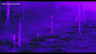 MORGENSHTERN - SHEIKH (slowed+reverb) TG BOT: @slowedandreverbot