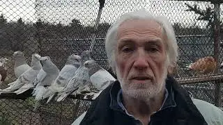 Поздравление с Новым 2024 годом!