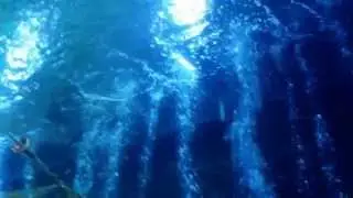 океанариум 2