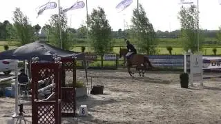 Wonder of Society (Lord Z x Gagson wimborn)