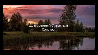 Драгоценный Спаситель Христос.