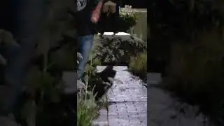 When ur bestie loves pissing in random places while drunk