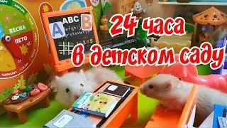 📢24 часа в детском саду /Сериал про хомячков