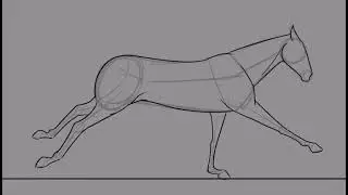 Horse Run Cycle | 2D Animation