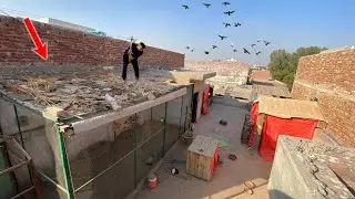 Master Cage Ko Tor Dia😞