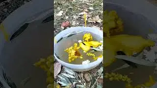 🆘 Чистка от кладбищенской работы 💯Снимаем закольцовки,порчи,болезни🪃