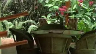 Nosara Paradise Rentals - Casa Privada