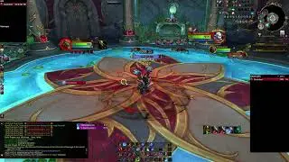 Blood Death Knight solos HEROIC Ruby Life Pools!!
