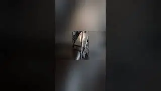 хотокоон