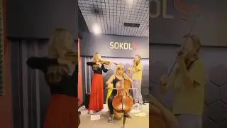 #fourseasons