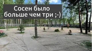 Не прошло и года ;-) после крепкой непогоды закончили корректировку рельефа и борьбу с сорняком