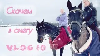 VLOG 10 | СКАЧКИ В СНЕГУ | ПОБРИЛИ БУЛКУ