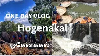 ஒகேனக்கல் அருவி | Hogennakal Falls | Hogennakal