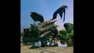 Black Dragons 