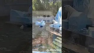 мои фотографии