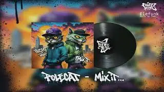 9  - POLECAT - Mix It  ( Prod.  JAUH )