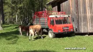 Südtirol: Bergbauern bei der Arbeit in Sexten und auf der Seiser Alm