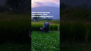 Paano maging masaya? 