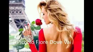 Piccolo Fiore Dove Vai 💗  I Teppisti dei Sogni  ~ Testo