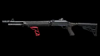 Комбо с Fabarm S.A.T. 8 Pro