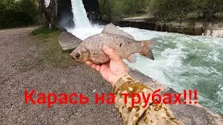 РЫБАЛКА НА ПАУК!!!/ДУБАСИМ КАРАСЯ НА ТРУБАХ!!!/САЗАН РВЁТ ПОДЪЁМНИК!!!/ВОДА ИЗ ДВУХ ТРУБ!!!