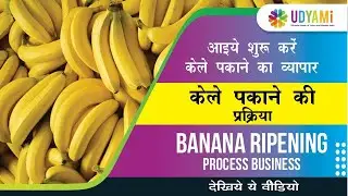 How to Start Ripening Process of Banana I केले की पकने की प्रक्रिया कैसे शुरू करें