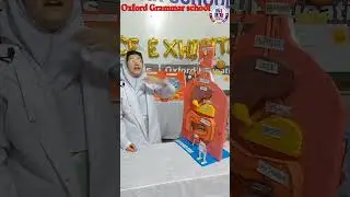 Digestive system  | Oxford Grammar school Shahdara town campus