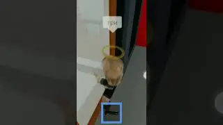 5 сентября 2022 г.