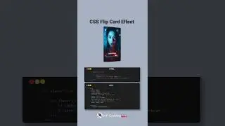 Amazing 🤩 Flip Card Effect Css ✨